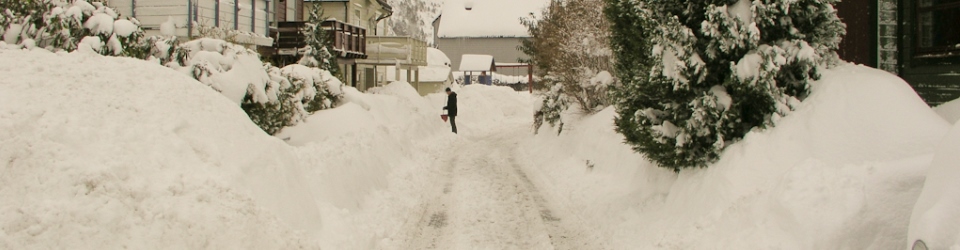 Fæsteråsen Huseierlag